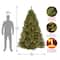 7.5 ft. Pre-Lit Winchester Pine Full Artificial Christmas Tree, Multicolor Lights